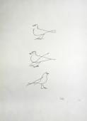 „Ptak”, Argentyna, [po 1950]<br>papier, tusz<br>35 x 24,8 cm<br>(Wł. MUT)