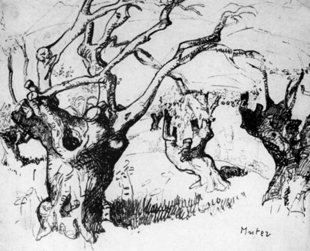 „Stare drzewa oliwne I”, Francja, ok. 1920-1930<br>tusz na papierze<br>31,6 x 38,4 cm